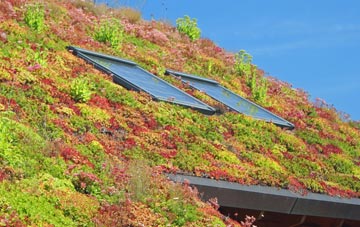 Tansley Knoll living roof systems